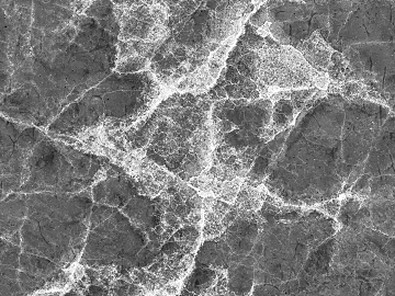 Black and White Bump texture (ID:ffach877940)