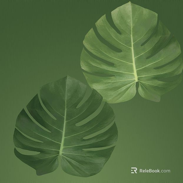 Green bamboo leaf decoration material texture