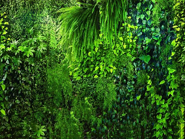 Plants texture (ID:ffaeg98244)