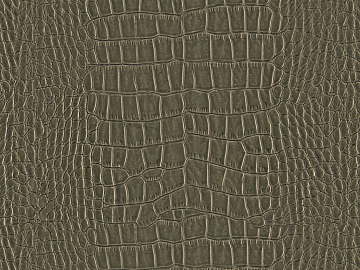 animal skin texture (ID:ffajg52975)