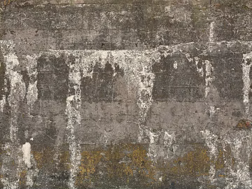 Cement floor texture (ID:ffaeh384982)