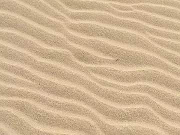 sand sand texture (ID:ffach957718)