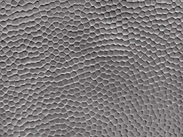 Black and White Bump texture (ID:ffaeg39586)