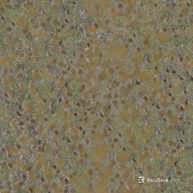 Mud ground texture