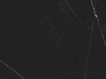 Marco Polo marble marble black and white root texture (ID:ffabg07230)