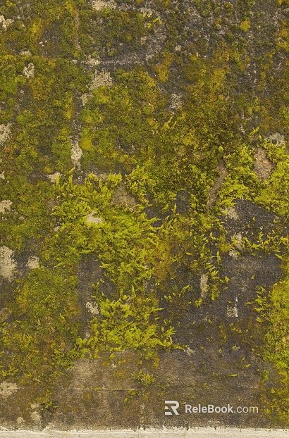 moss texture