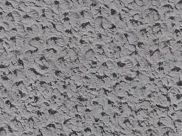 diatom mud texture (ID:ffacg94668)
