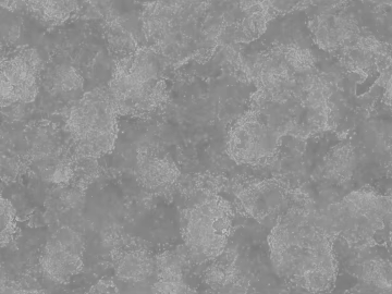Black and White Bump texture (ID:ffaag37110)