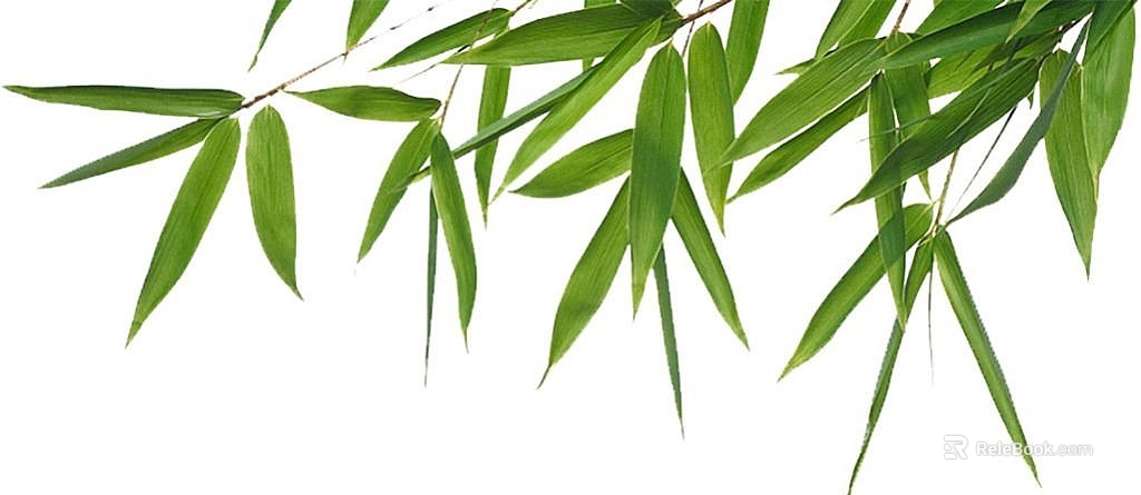 leaves texture