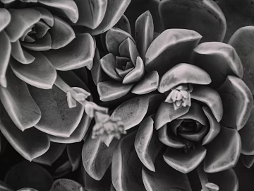 Plant painting texture (ID:ffaeg78627)