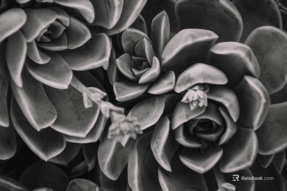 Plant painting texture