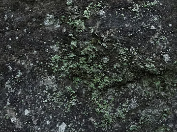 Rock texture (ID:ffacf9775)