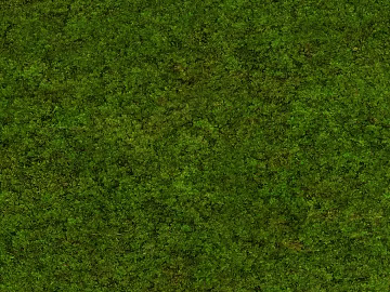 Modern moss turf texture (ID:ffach983943)