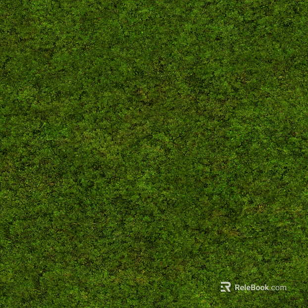 Modern moss turf texture