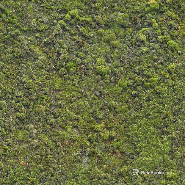 moss texture