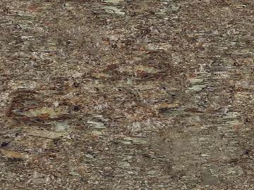 Grey-brown bark decorative surface material texture (ID:ffaeh582896)