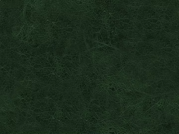 Coarse-grain leather texture (ID:ffajg55692)