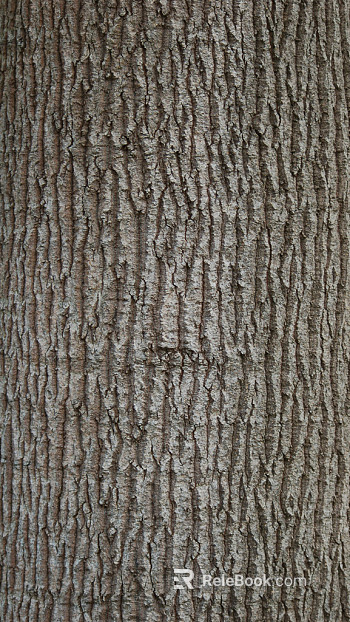 bark texture