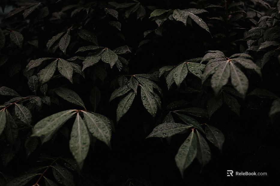 leaves texture