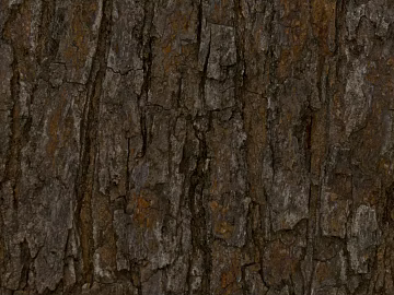 bark texture (ID:ffagg13784)