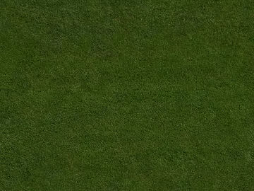 Turf texture (ID:ffagg71507)