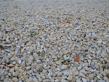 Gravel texture (ID:ffagg91150)