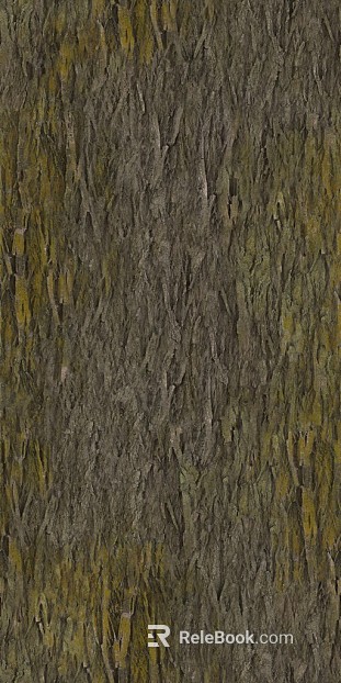 bark texture