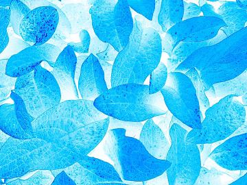plant pattern texture (ID:ffaeg10533)