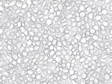 Black and White Bump texture (ID:ffabg45992)