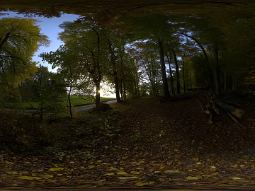 Park Grove Leaf Trail Daytime HDR texture (ID:ffabg23481)