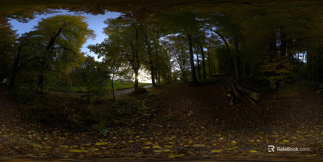 Park Grove Leaf Trail Daytime HDR texture