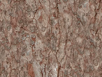 bark texture (ID:ffacg41901)