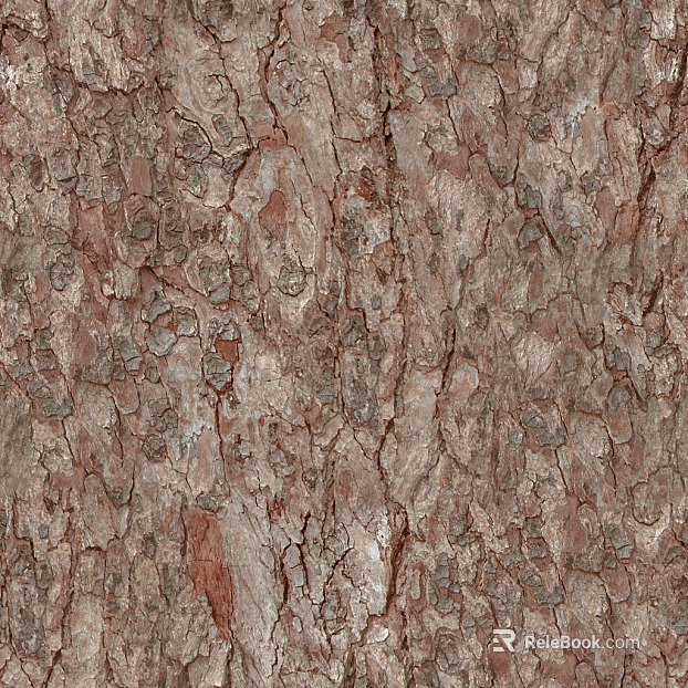 bark texture