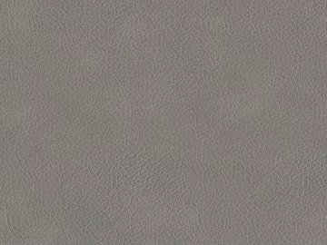 fine grain leather texture (ID:ffacg99957)