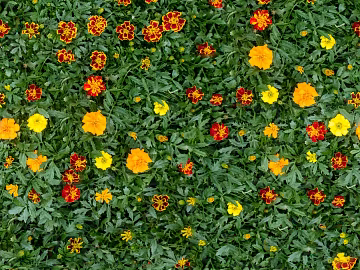 shrub flowers bushes texture (ID:ffaeh611117)