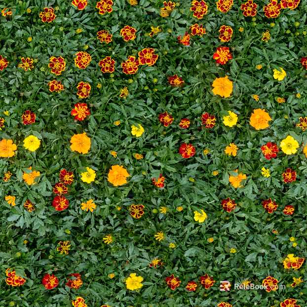 shrub flowers bushes texture