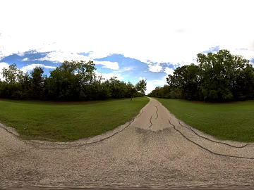 Daytime HDR Map of Suburban Lawn Path texture (ID:ffach426514)
