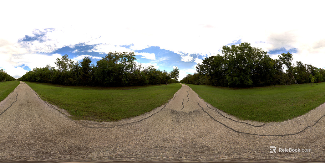 Daytime HDR Map of Suburban Lawn Path texture