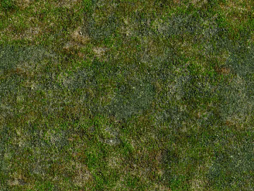 moss texture (ID:ffaeh754147)