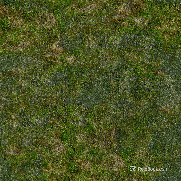 moss texture