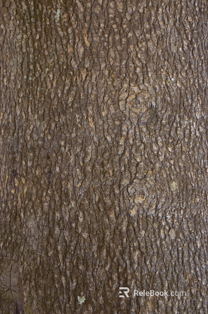 bark texture