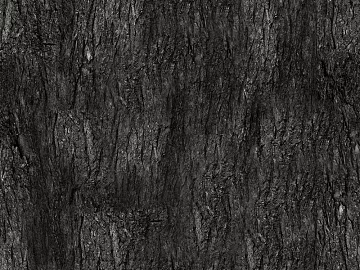 bark texture (ID:ffabg29625)