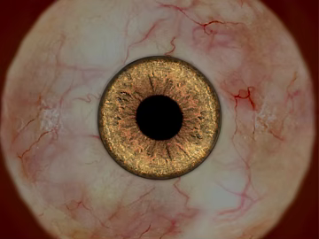 Five senses texture (ID:ffaag62823)