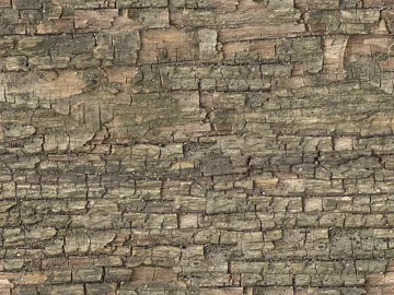 bark texture (ID:ffaff0527)
