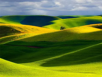 Wild Scenery texture (ID:ffajg87611)