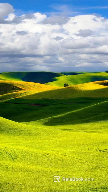 Wild Scenery texture