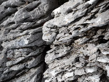 Rock texture (ID:ffabg72612)