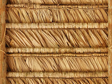 Thatch texture (ID:ffaaf9203)