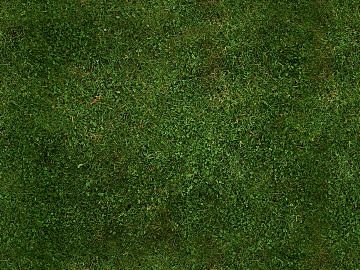 Turf texture (ID:ffaag40526)