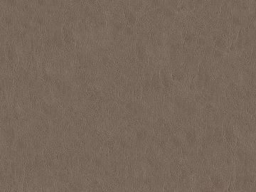 Coarse-grain leather texture (ID:ffajg30489)